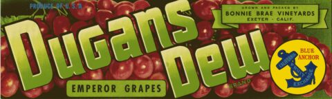 Dugans Dew
